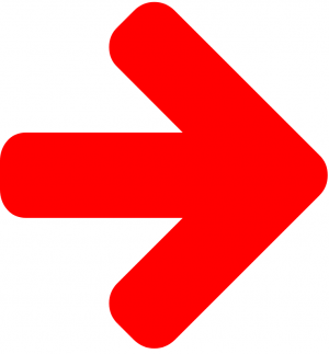 NextRed-Icon.png